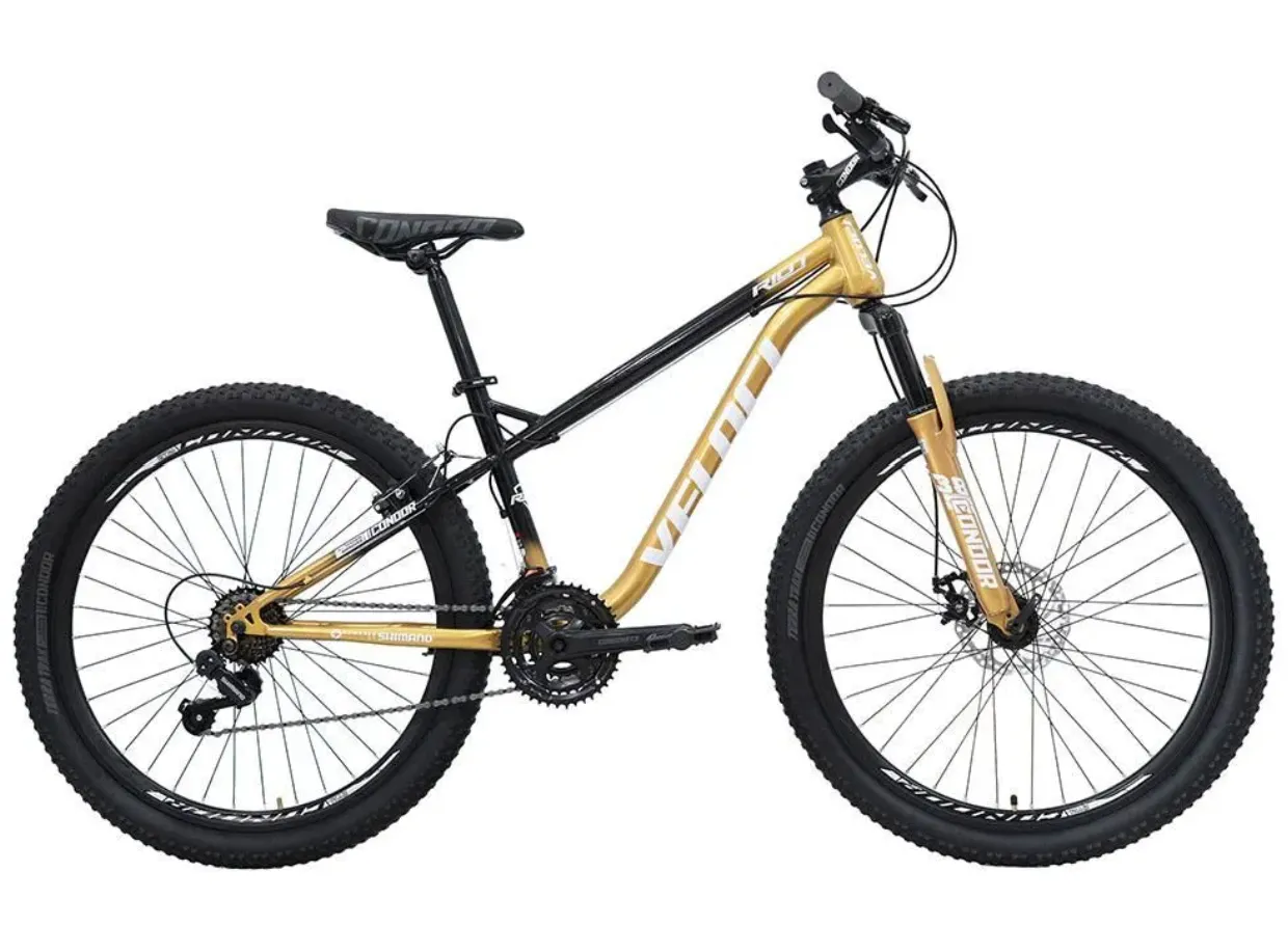 Bicicleta Veloci Riot R26